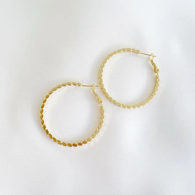 Goldie Hoops Gold Filled